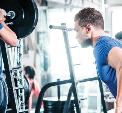 Musculación y Fitness